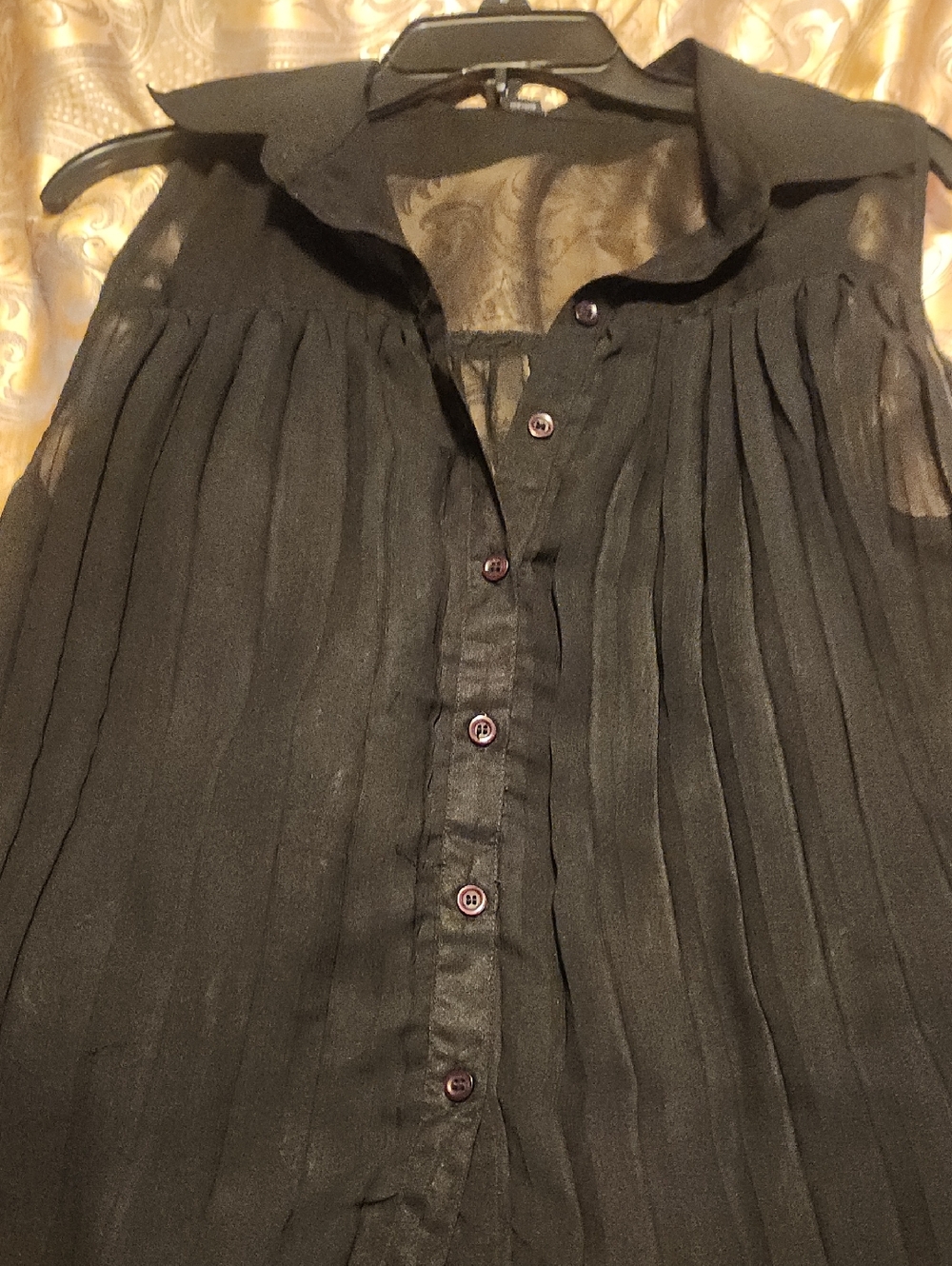 Women's Sheer Pleated Button-Up Blouse - Black